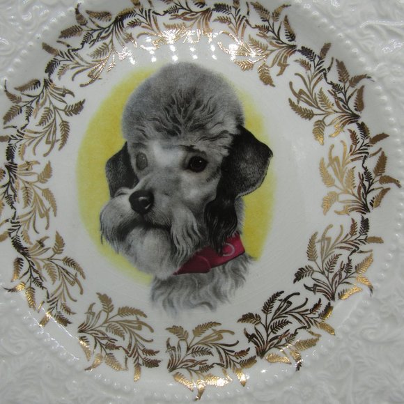 LORD NELSON POTTERY ENGLAND 71/2" COLLECTOR PLATE FEATURING POODLE DOG HEAD. - Picture 2 of 4